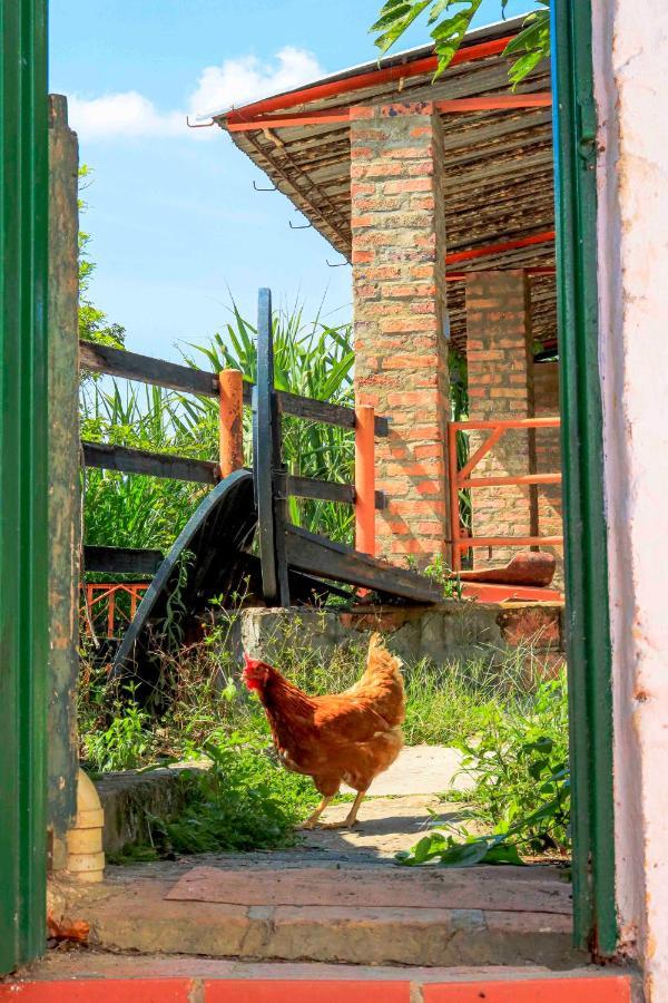 La Hacienda Pansiyon San Gil Dış mekan fotoğraf